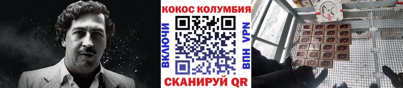 Кокаин Fish Scale Ясный