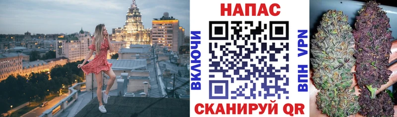 Бошки марихуана план  Купить закладки  Ясный 